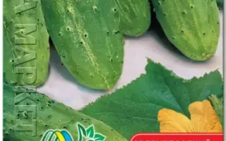 ДАЛЬНЕВОСТОЧНЫЙ 6