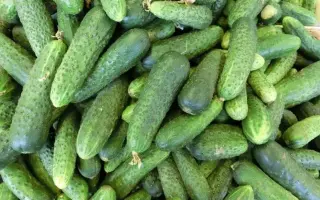 ВЛАДИВОСТОКСКИЙ 155