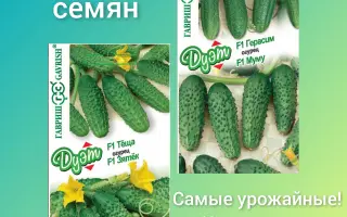 ПУЛЬКА