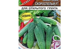 ШПУНТИК