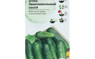 ЗАМЕЧАТЕЛЬНЫЙ СОСЕД