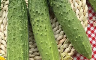 СЕНТЯБРЬСКИЙ