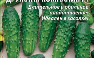 ДРУЖНАЯ КОМПАНИЯ