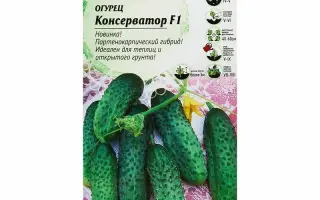 КОНСЕРВАТОР