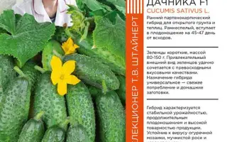 ПРЕСТИЖ ДАЧНИКА