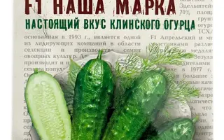 НАША МАРКА