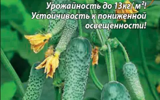 ИЗЯЩНЫЙ ПАЛЬЧИК