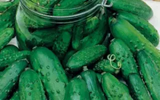 ТЁЩИНО СЧАСТЬЕ