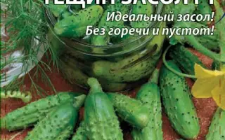 ТЁЩИН ЗАСОЛ