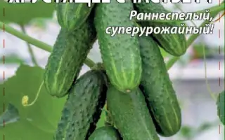 ХРУСТЯЩЕЕ СЧАСТЬЕ