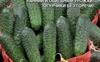 НИАГАРСКИЙ ВОДОПАД