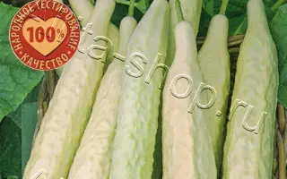 БЕЛАЯ АНАКОНДА