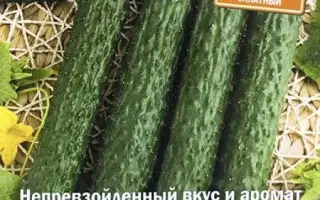 ВОСТОЧНЫЙ ЭКСПРЕСС