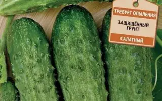 НОВОГОДНИЙ СЮРПРИЗ