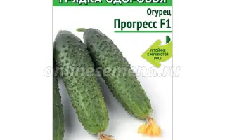 ПРОГРЕСС