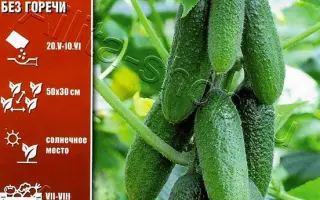 ПУЧКОВАЯ СЕМЕЙКА