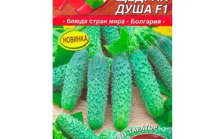 ЩЕДРАЯ ДУША