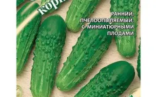 СИБИРСКИЙ ИЗУМРУД