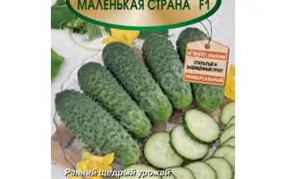 МАЛЕНЬКАЯ СТРАНА