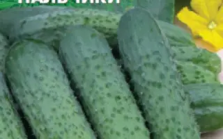 ЖЕНСКИЕ ПАЛЬЧИКИ