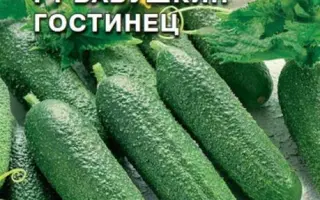 БАБУШКИН ГОСТИНЕЦ