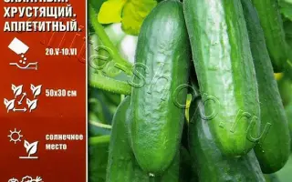 ОДИН В ОДИН