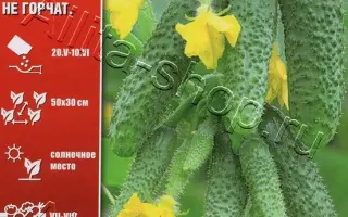 СУПЕРХРУСТ