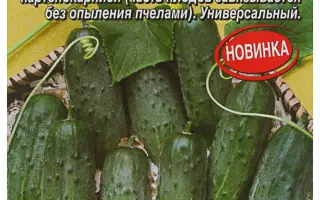 КАЗАКИ-РАЗБОЙНИКИ