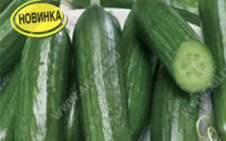 ЛЕТНЯЯ ГИРЛЯНДА