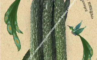 ИЗУМРУДНЫЕ ПТИЦЫ