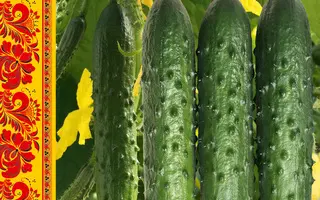 ВОЛШЕБНАЯ ФЛЕЙТА