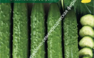 ЭКСПЕДИЦИЯ