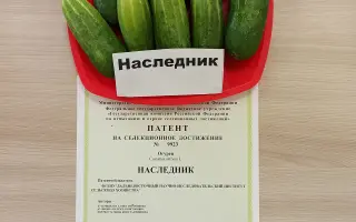 НАСЛЕДНИК