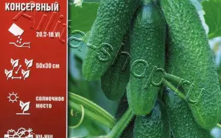 ЗЕЛЕНАЯ ГИРЛЯНДА