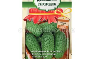 ДЕТСКИЙ МИР