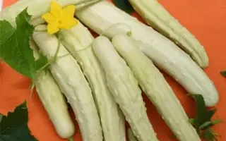 БЕЛЫЙ ДРАКОН