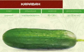 КАРАВАН