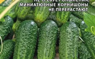 КРОХОТУЛЯ
