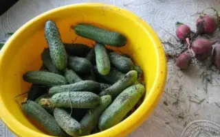 СУРАЖЕВСКИЙ