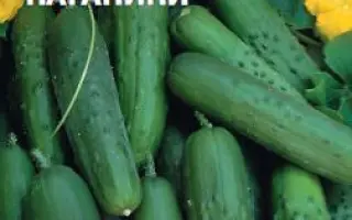 ПАЛЬЦЫ ПАГАНИНИ