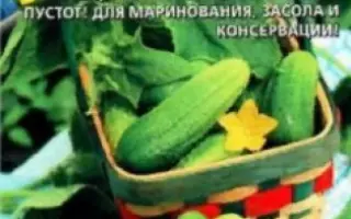 ЗОЛОТОЙ ЮБИЛЕЙ