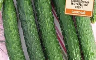 КИТАЙСКИЙ ИМПЕРАТОР