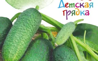 БРАВЫЙ ХЛОПЕЦ