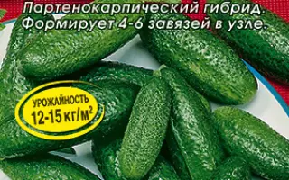 МАЛЫШКИ-ХРУСТИШКИ