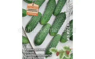 ХРУСТЯЩИЙ КОРОЛЬ