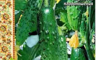 ВРЕМЕНА ГОДА