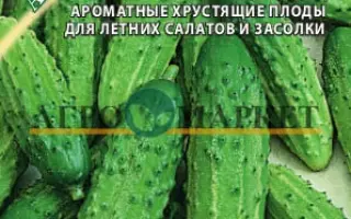 АЛТАЙСКИЙ КОРНИШОН