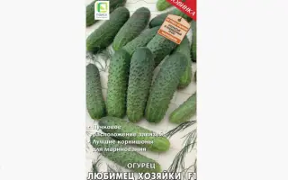 ЛЮБИМЕЦ ХОЗЯЙКИ