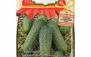 ДАЧНЫЙ ПОСОЛ