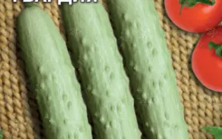 БЕЛАЯ ГВАРДИЯ